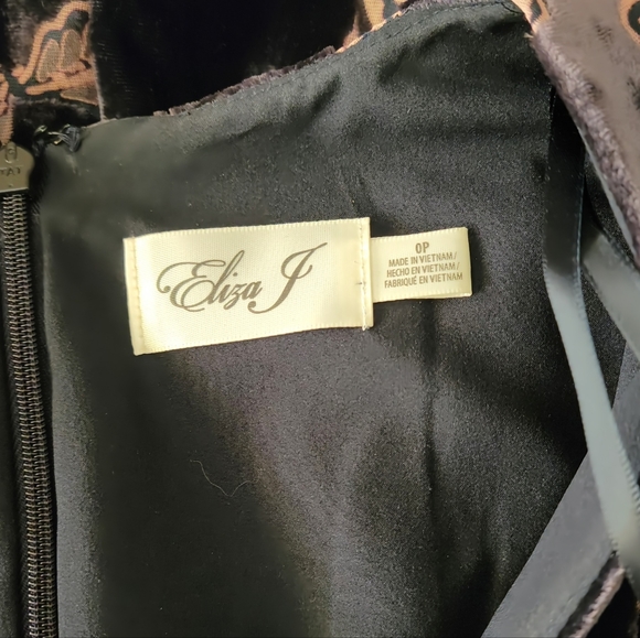 Velvet Cape Dress - Picture 2 of 2